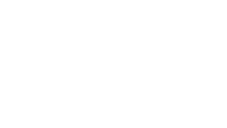 MWM Motores